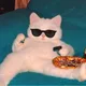 Meow