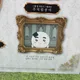 조각달