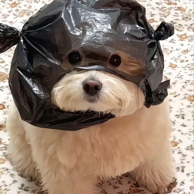 체리팝