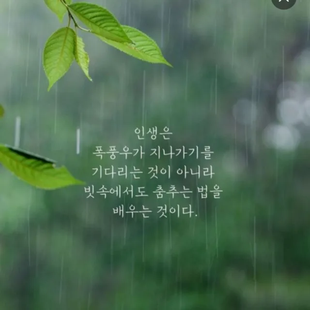 The잘될꺼야