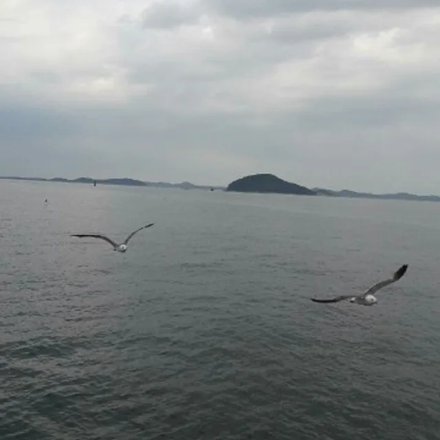 따뜻한빙수