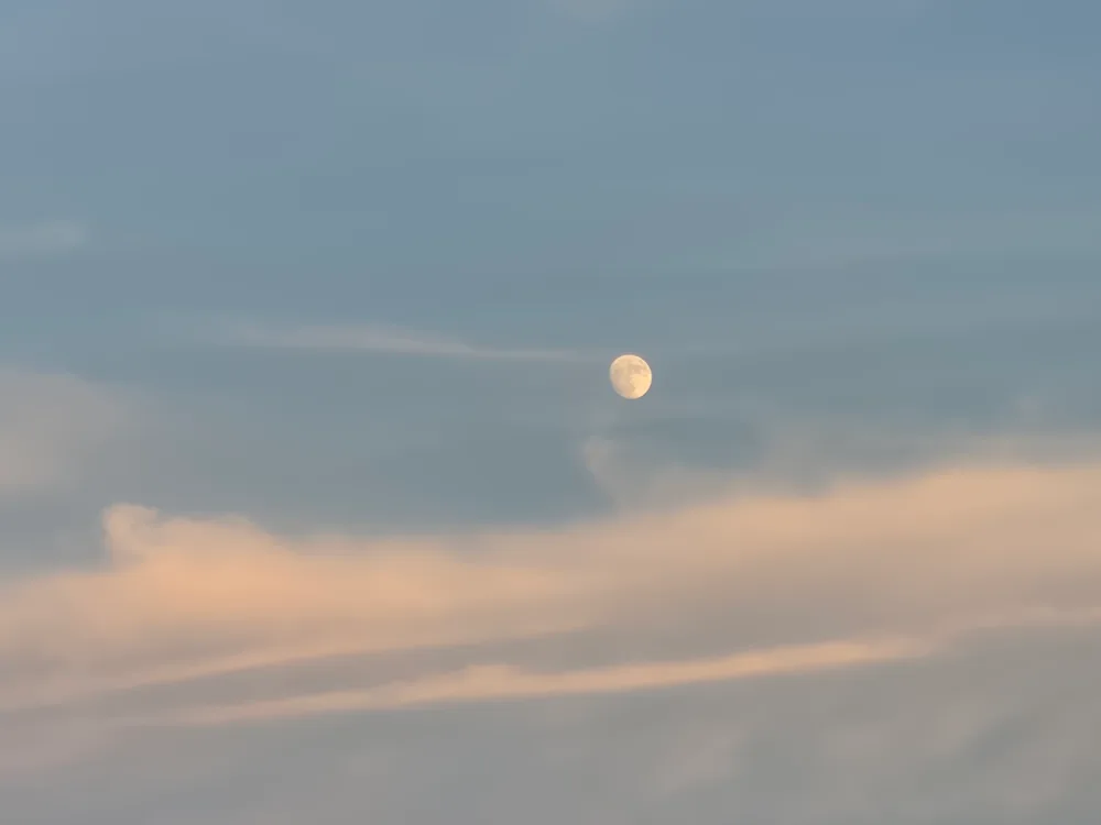 딸바보