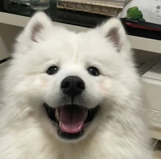 솔직한남자