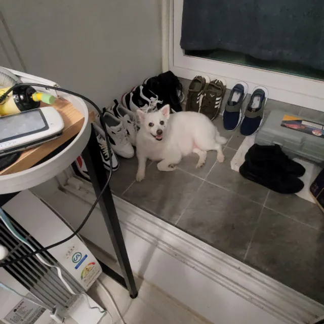 박촌동쿨거래남
