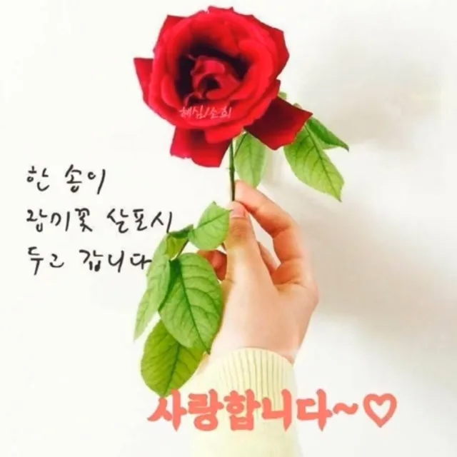 금태양