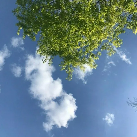 calllkj