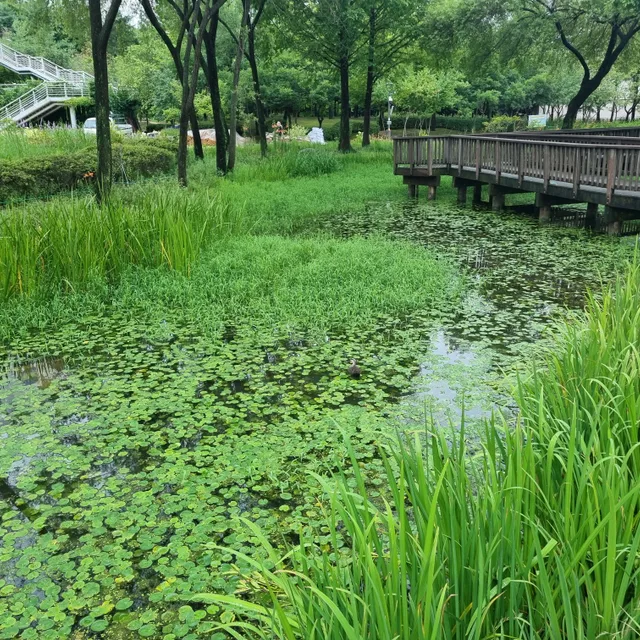 한우링