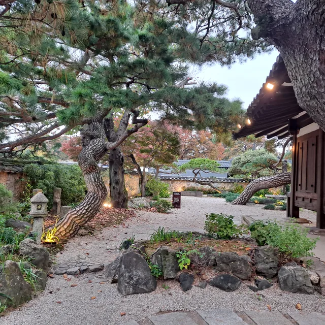 민들레