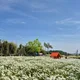 하늘