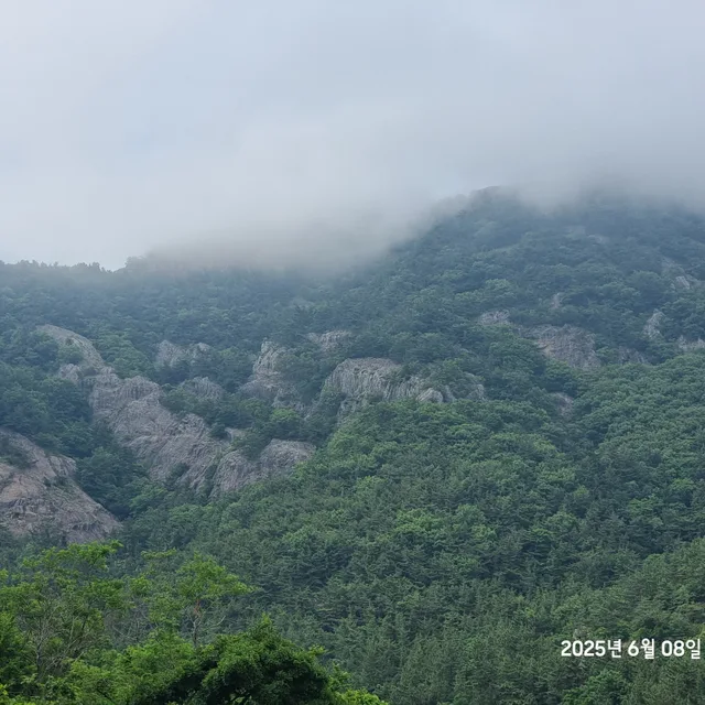 태산