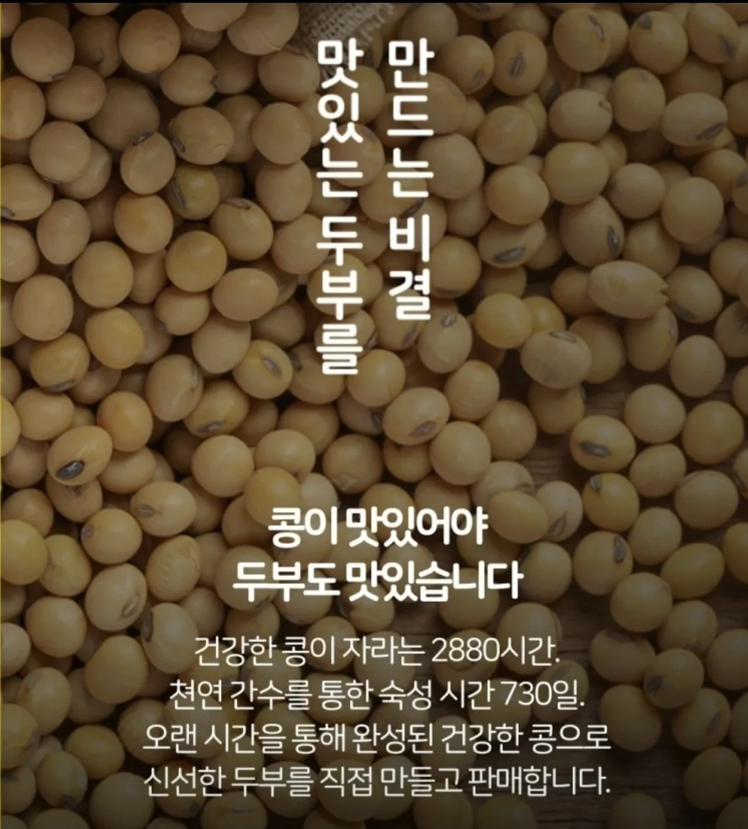 증평손두부감나무집