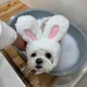 상아