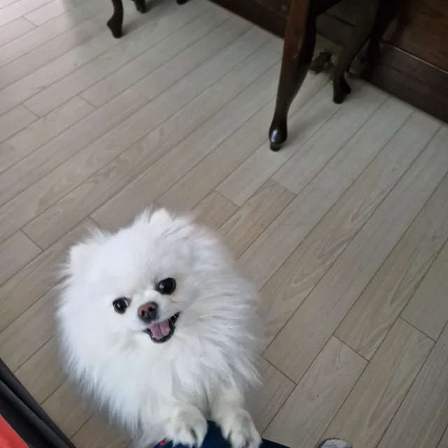 이슬