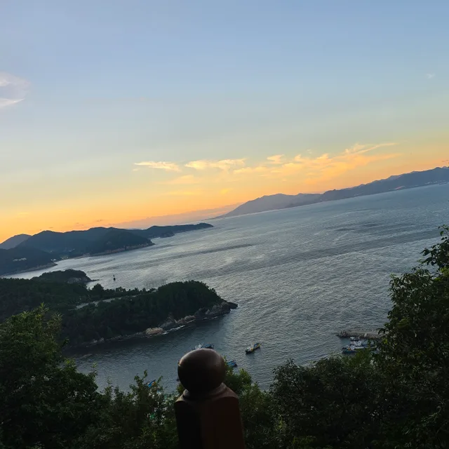 장보기