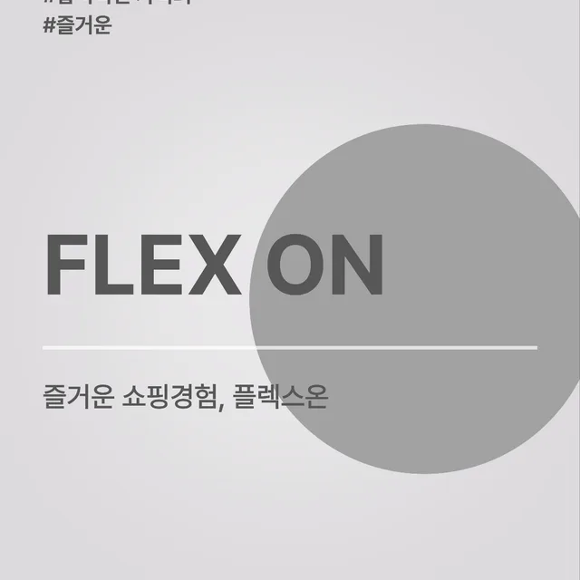 플렉스온