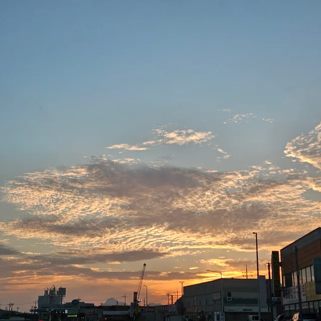 쿨거해요