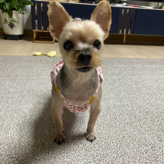 당근냠냠