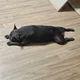 페페
