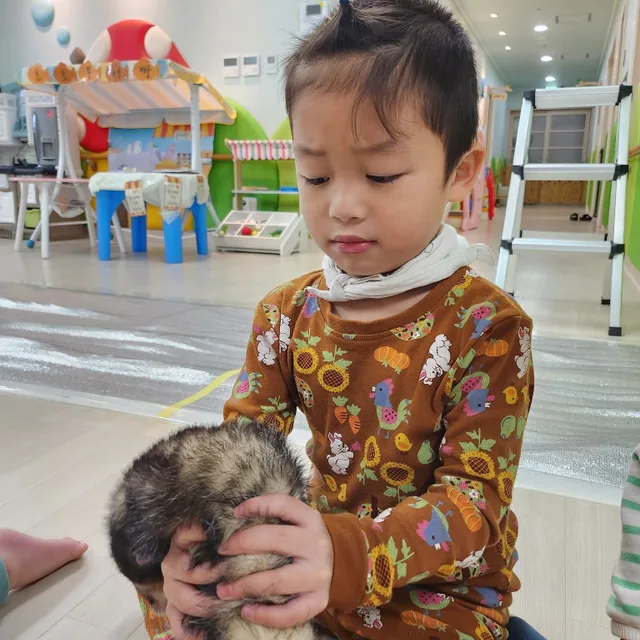 집수리명장1호