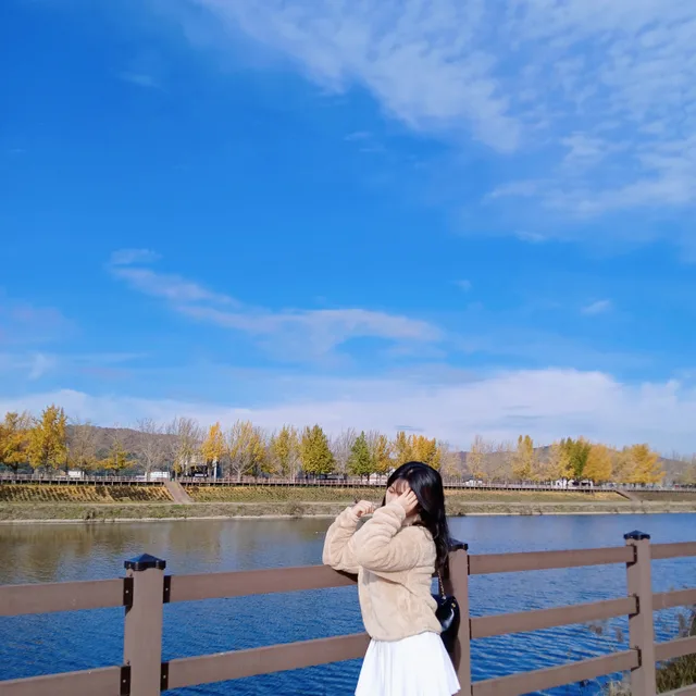 디라