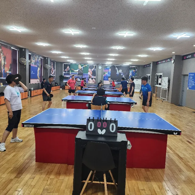 하이핑퐁