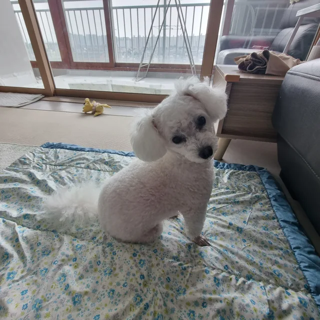 밀크엄마