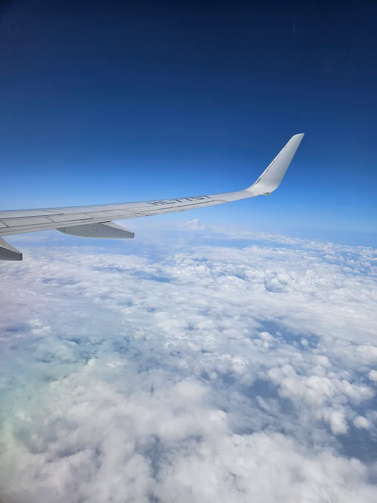 항항항