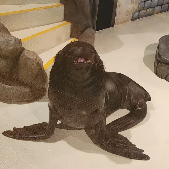 잘쓰세용용