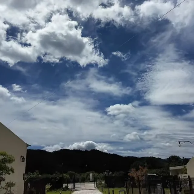 밍키