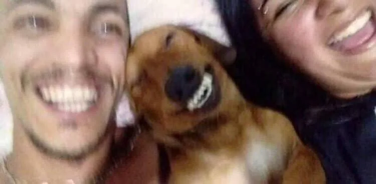 히히히힛