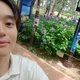 울산할배꽃