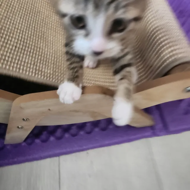 봉선이네