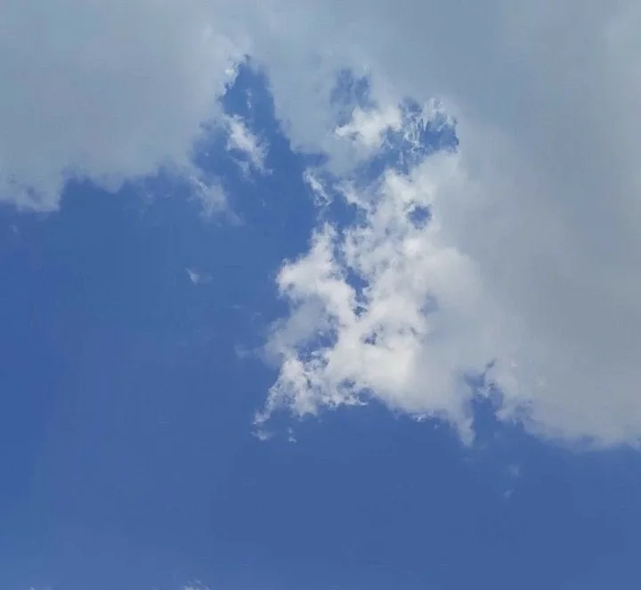 하늘꽃