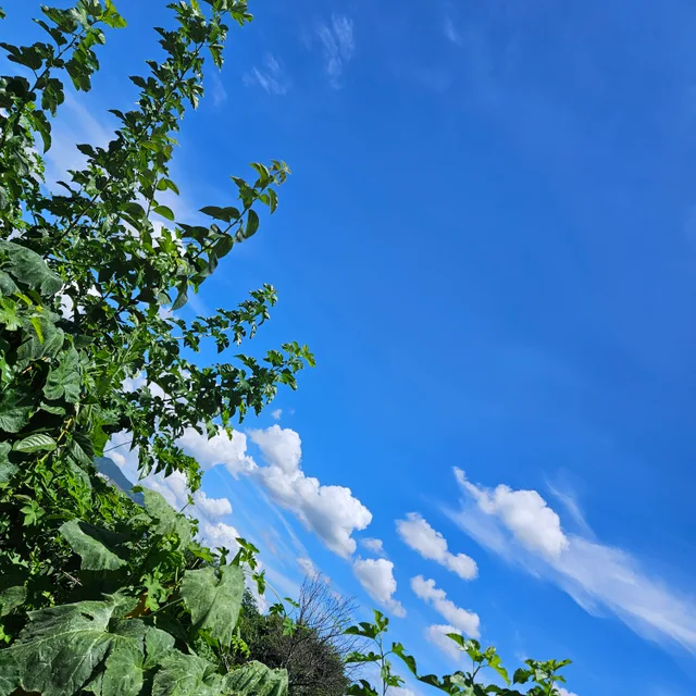 열정