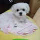 미주
