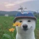 파평윤씨