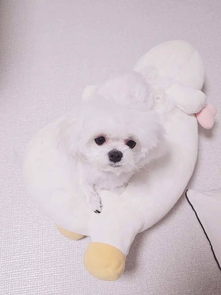 봉구맘