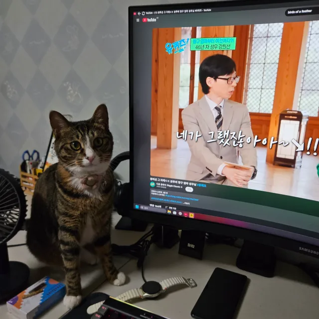이것레알넘나좋아