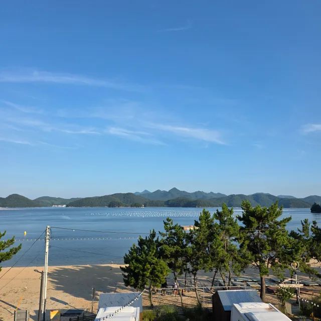 당근당근