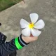 라우라