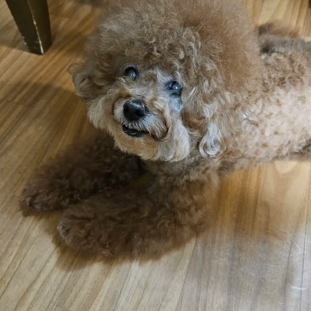 누루2014