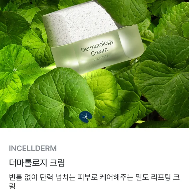 여우임채아