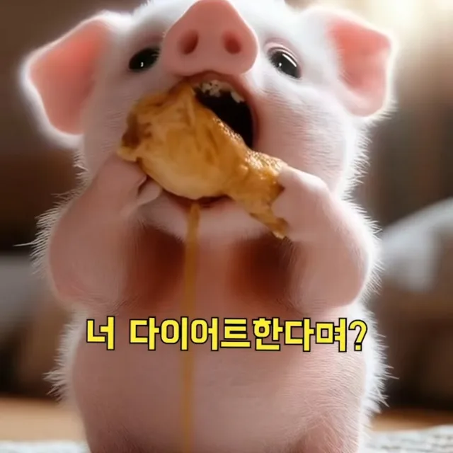 쿠앤크가채고얌