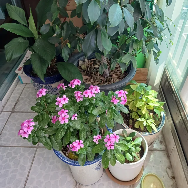 산신령