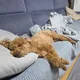 너굴
