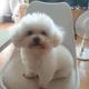 곰탱쏭