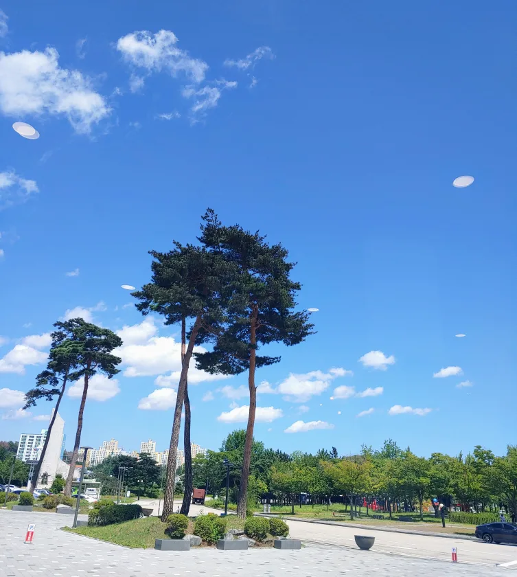 오호라