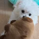 러키