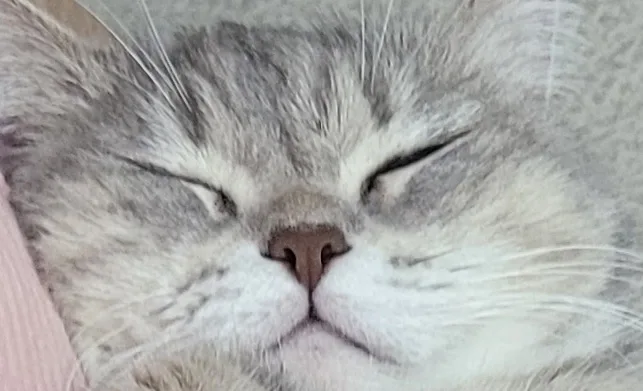 땅콩이엄마