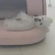 준윤빠